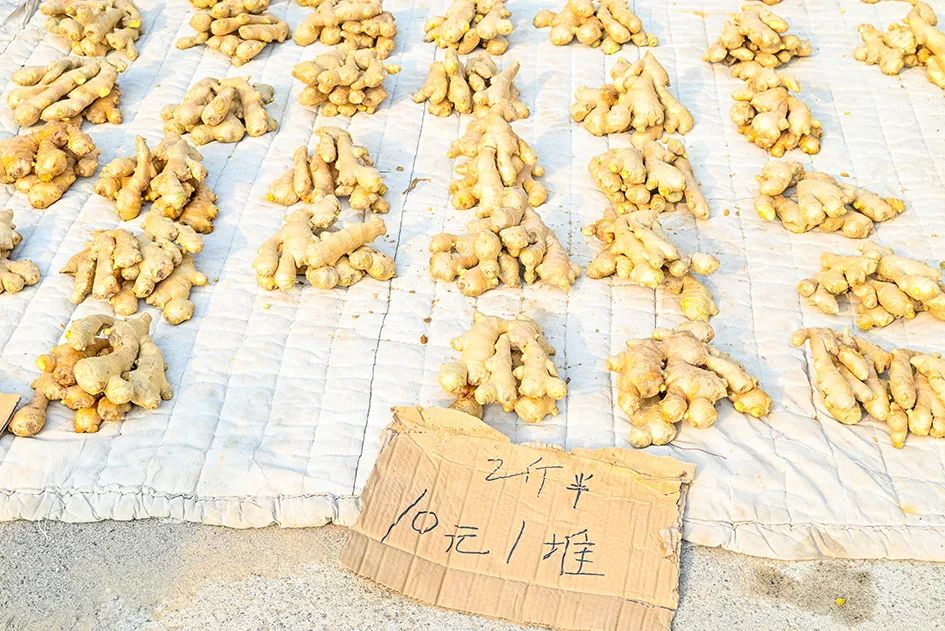 满满的烟火气逛大集真好玩,最值得逛的大集