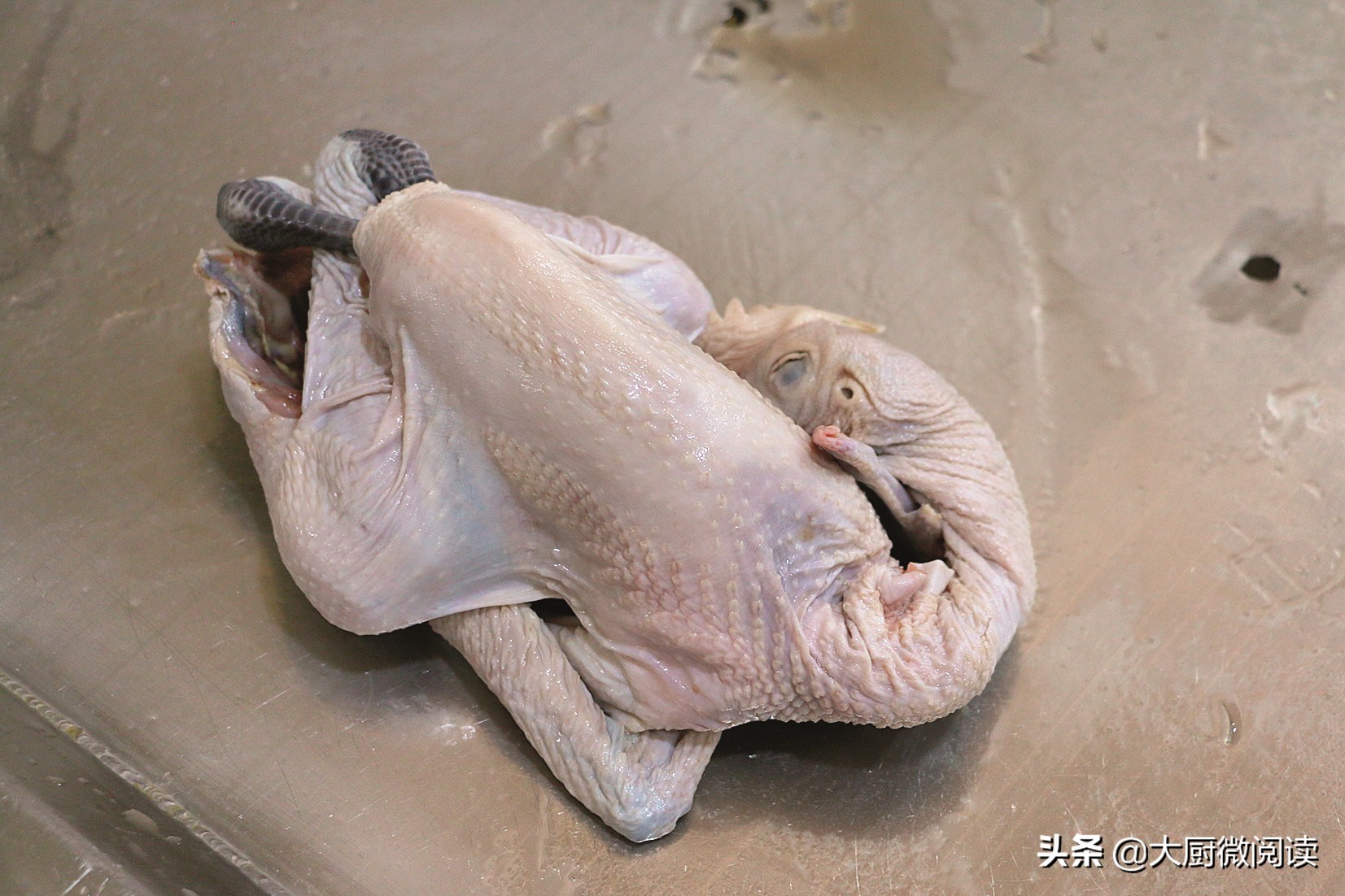 四大名鸡绝密配方,中国四大名鸡种排名