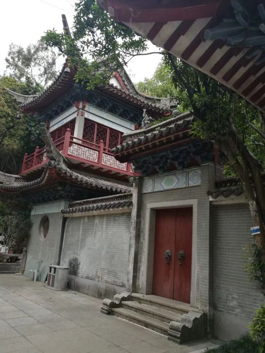 广州白云山游记作文,难忘的旅行广州白云山