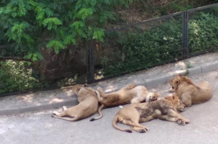 大连行程攻略,大连旅行攻略详细路线推荐图