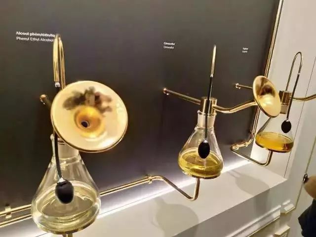 Chanel最新款香水原料诞生地,竟然就藏在这个中世纪小镇!