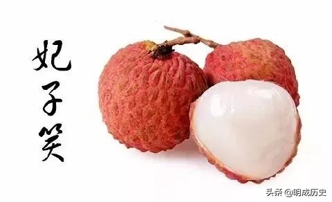杨贵妃吃的妃子笑荔枝是哪里产的,一骑红尘妃子笑杨贵妃喜欢荔枝吗