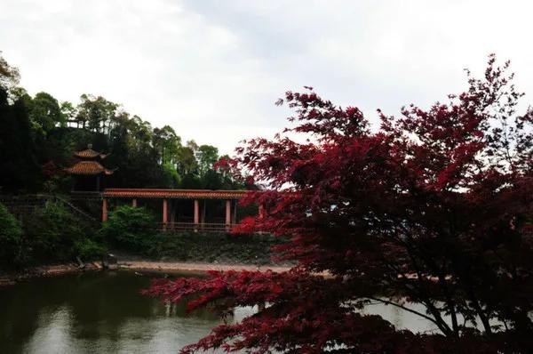 骆崃山景点,骆崃山门票