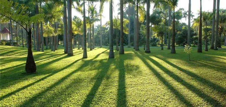 收好这份云南最新5a景区名单,云南的5a级景区有哪些