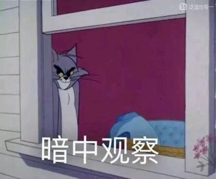 洋品牌的中文名,洋名的中国品牌