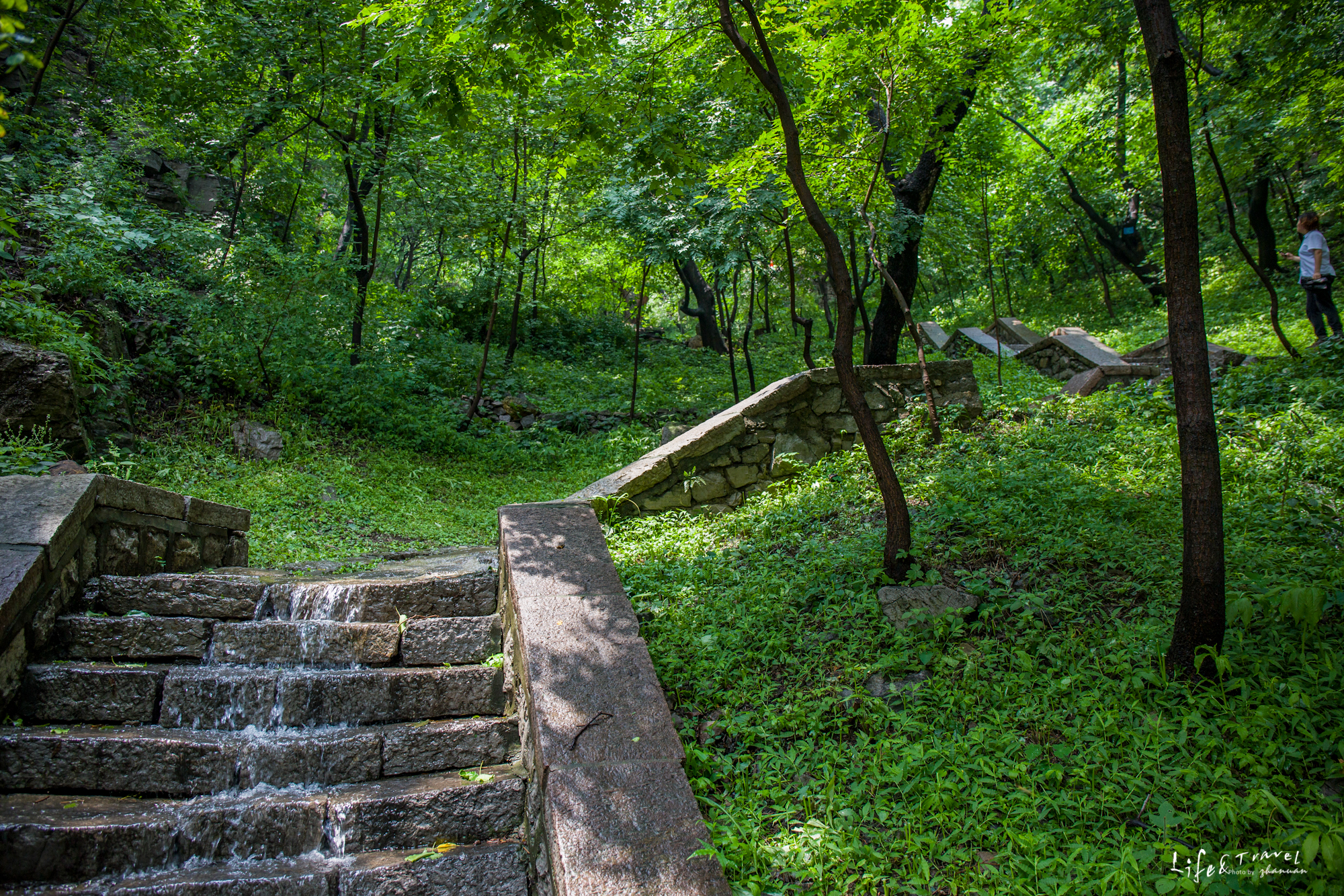 淄博看红叶的免费景点,淄博看红叶不用爬山的免费景区