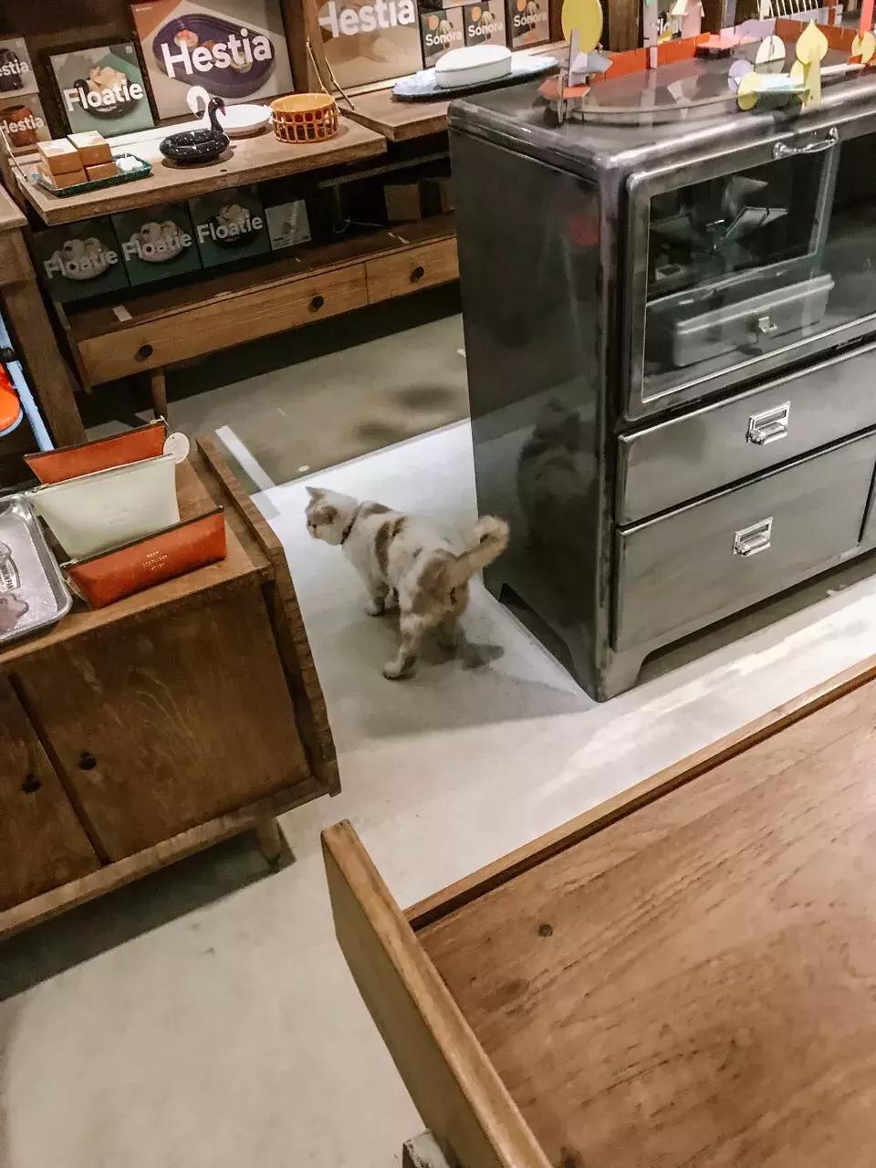 当你自以为穿得很潮去买手店 (时髦又小众魔都买手店逛街攻略)