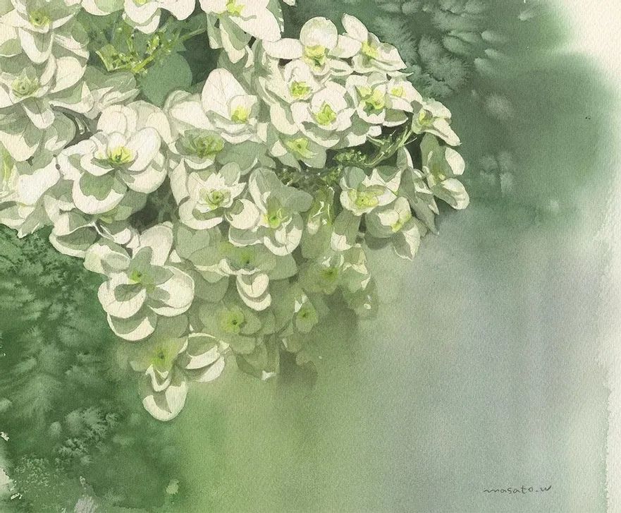 水彩大师笔下的花卉,简单唯美的水彩花卉