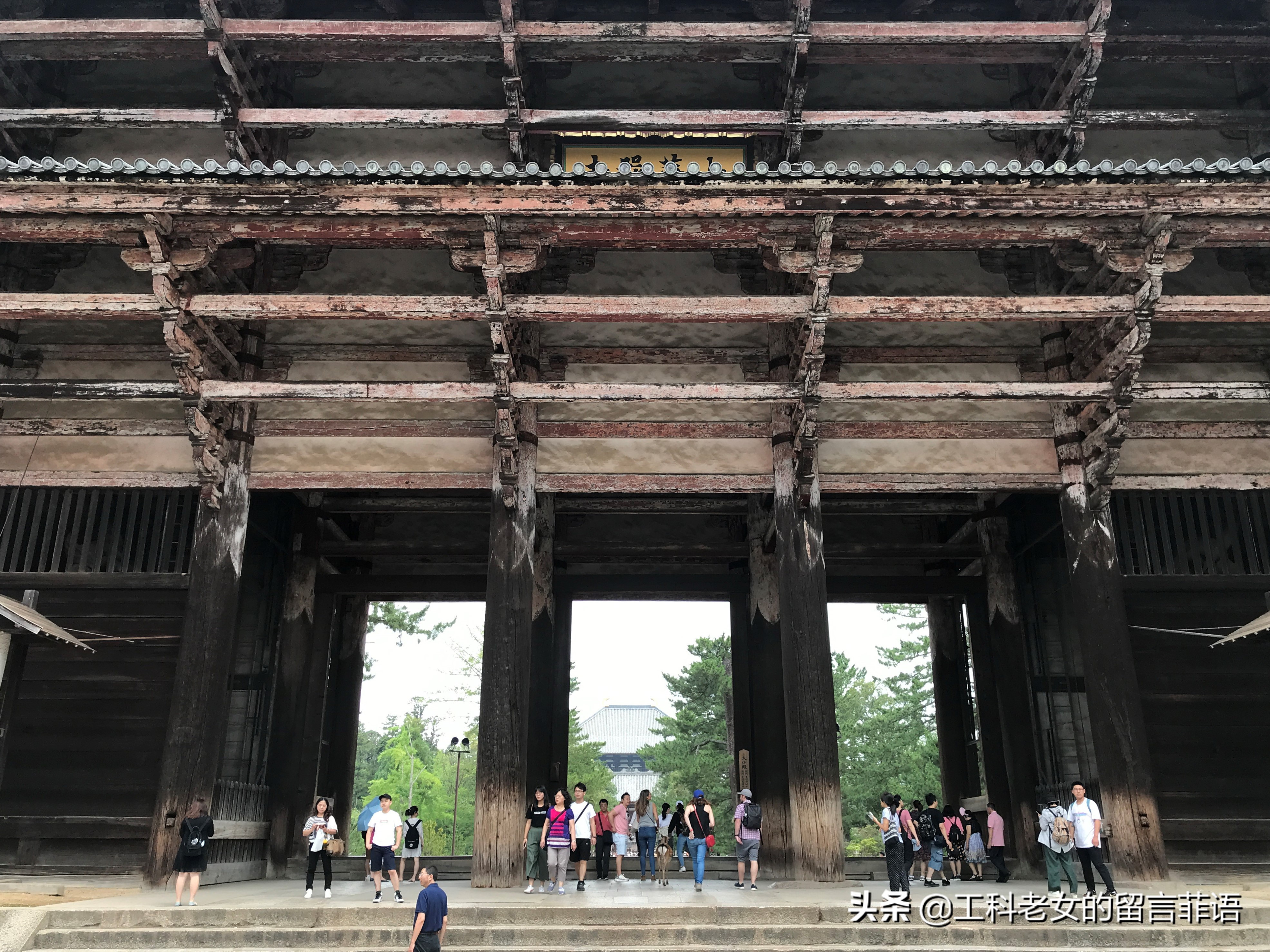 奈良东大寺大佛殿和太和殿,奈良东大寺位置地图图片