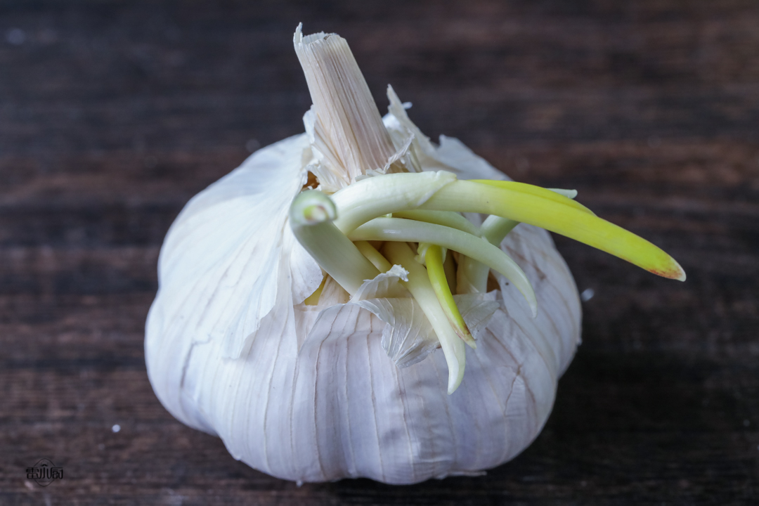 大蒜放久了为什么会发芽,大蒜放久了发芽