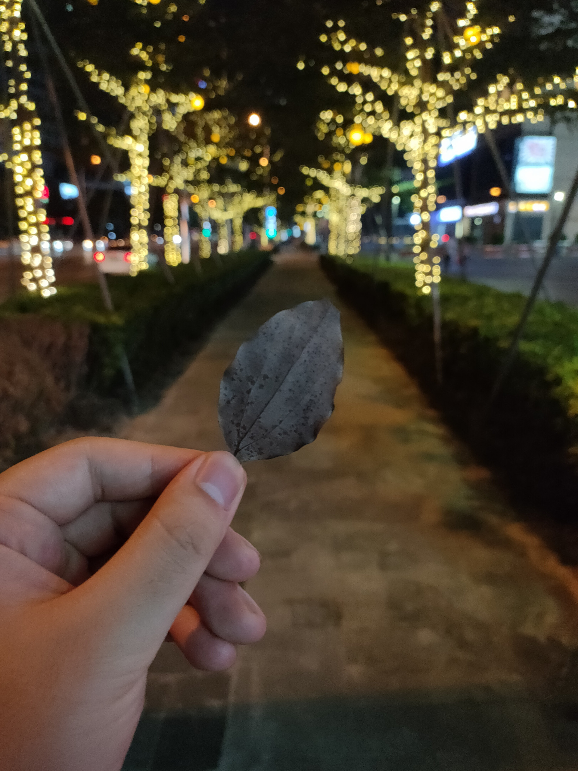 renoace评测优缺点,renoace手机评测