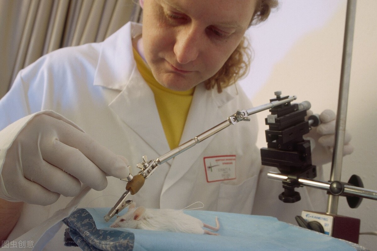 动物造模——婴儿痉挛症模型SOP介绍