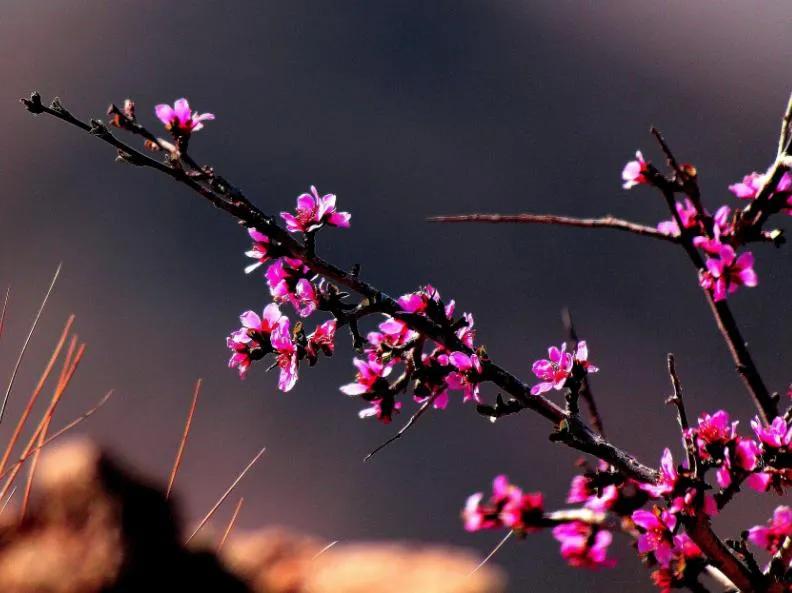 对一张琴一壶酒一溪云,几时归去作个闲人对一张琴一壶酒