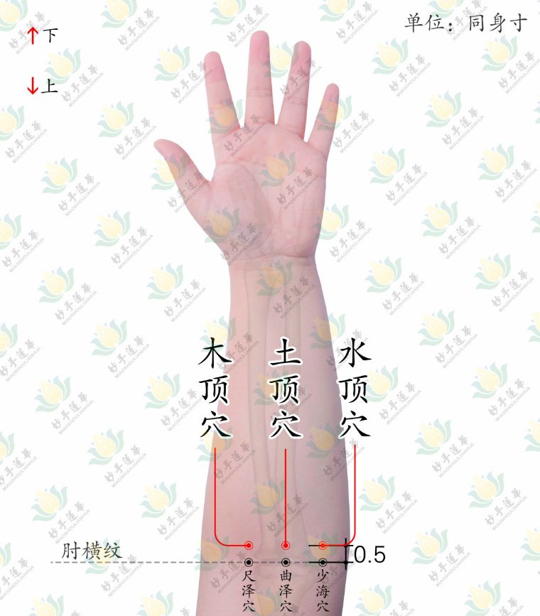 董氏治咽喉痛的特效穴,董氏针灸治感冒特效穴