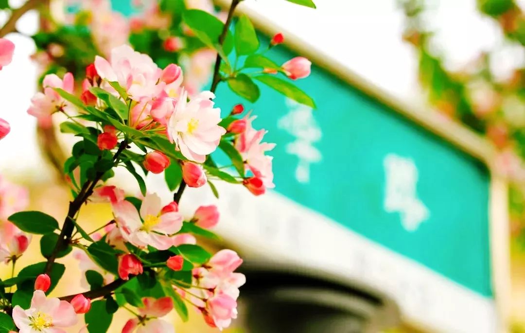 中国民航大学，是时候火了