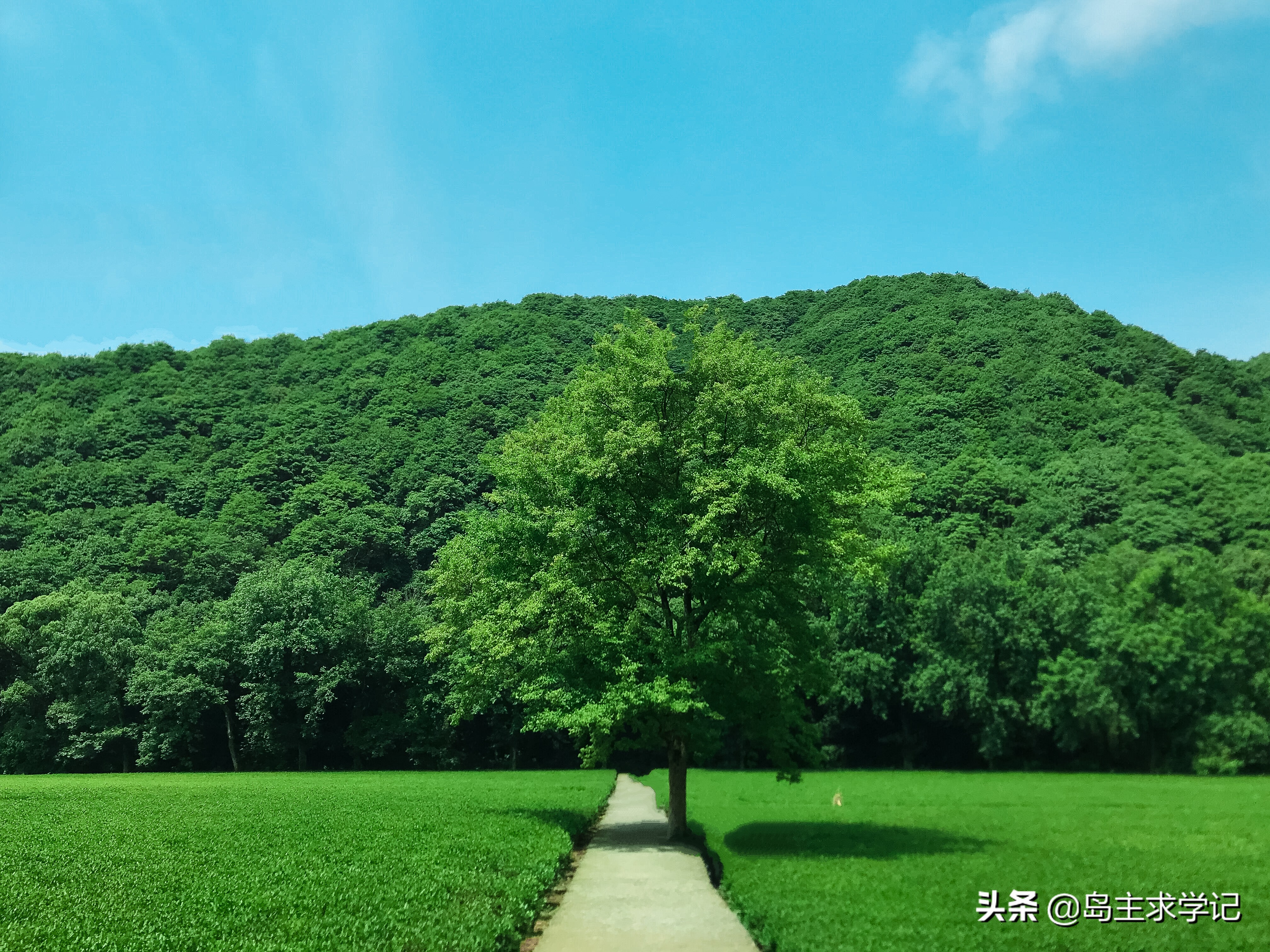 杭州西湖仙境云栖竹径,杭州好玩的地方推荐云栖竹径