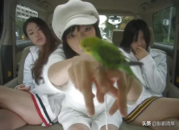 帮你整理了20部必看好片,最值得看的佳片