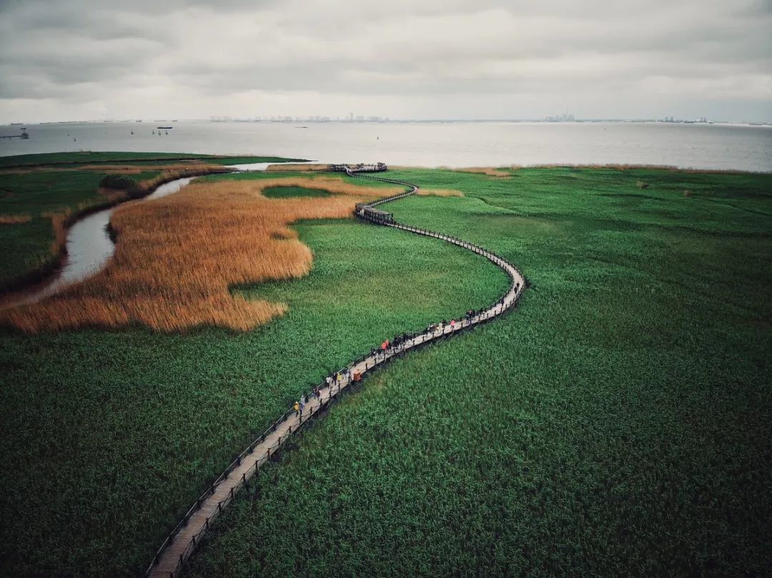 秋天来了,到崇明岛(我国第三大岛)走一圈吧