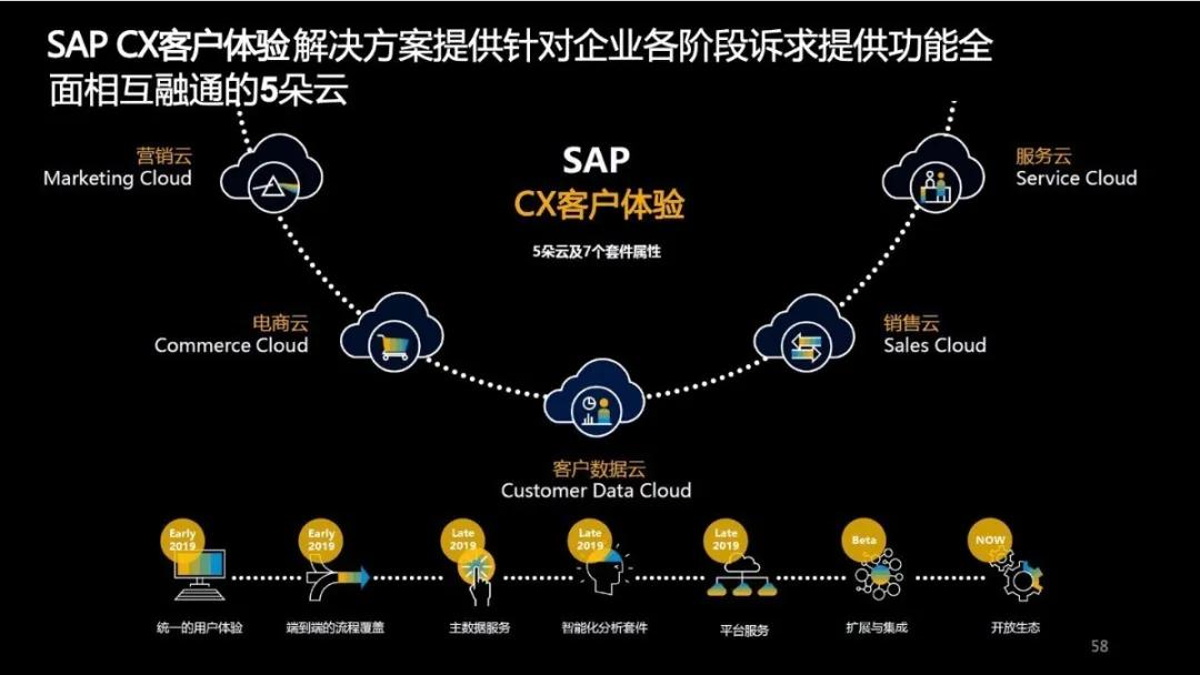 sap实际实施案例,sap案例