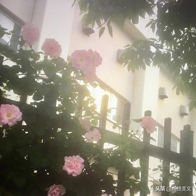 发朋友圈的十句情感语录说说短句,适合发朋友圈的感情句子句句戳心