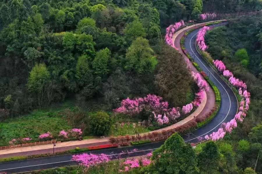 绿心公园5月3号有什么活动,绿心公园花开了好漂亮