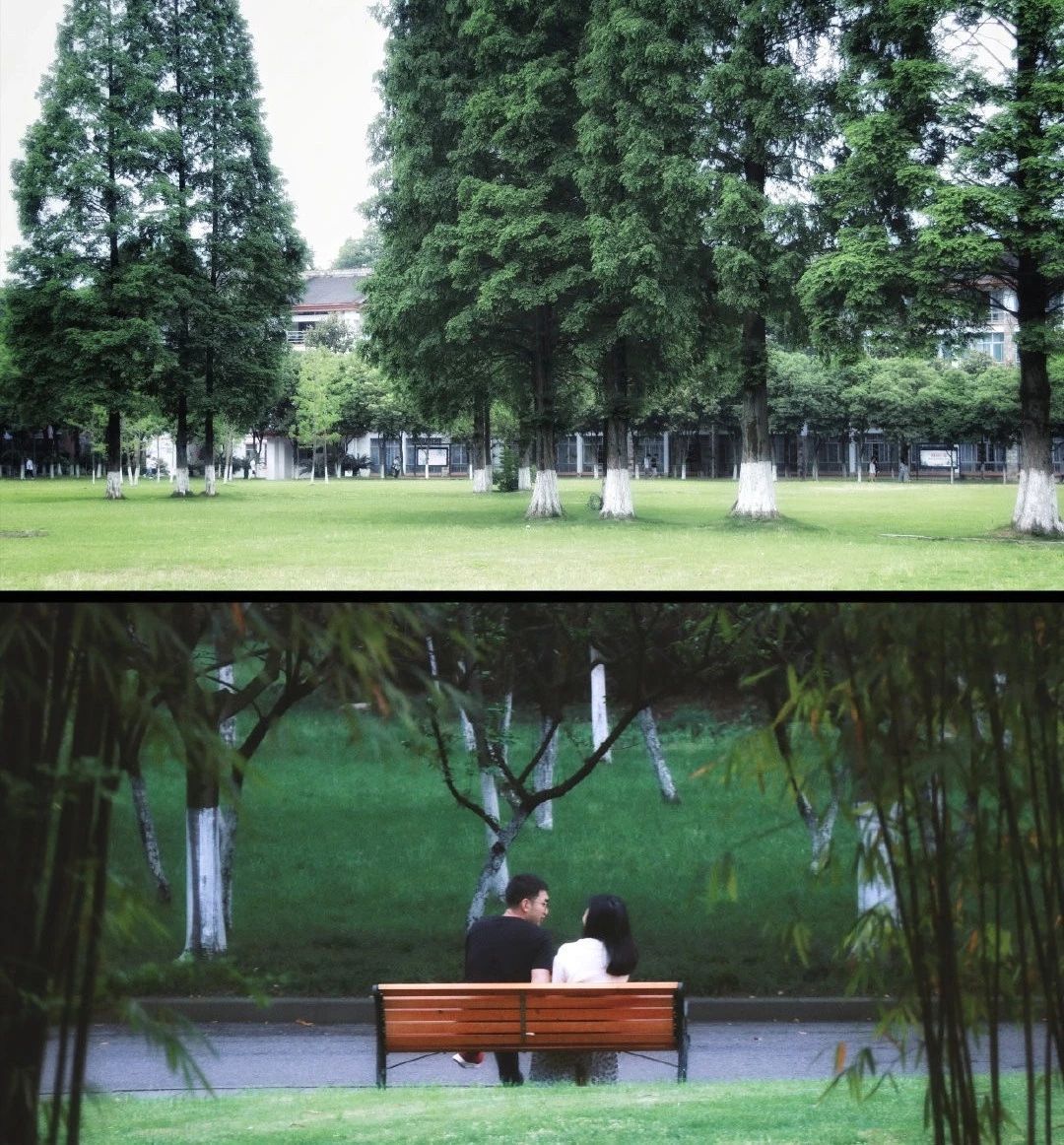 有一种修行叫俗世修行,有一种修行叫止语