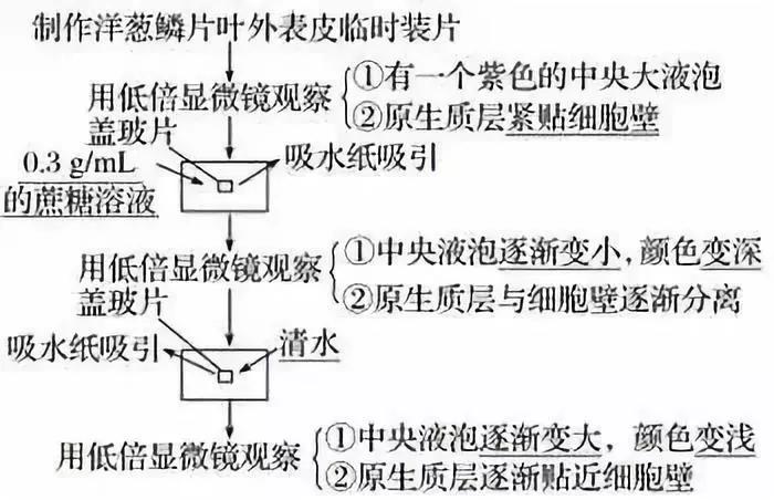 云南高中会考生物实验操作,生物显微镜实验视频高中