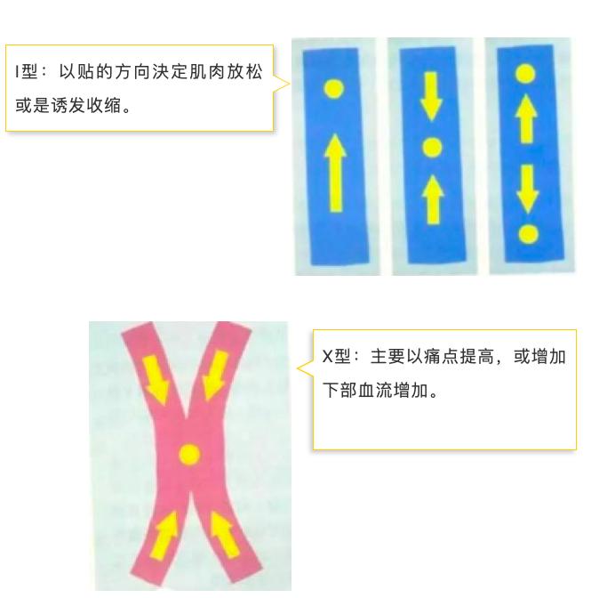 赵辉医生骨科,赵辉医生视频大全