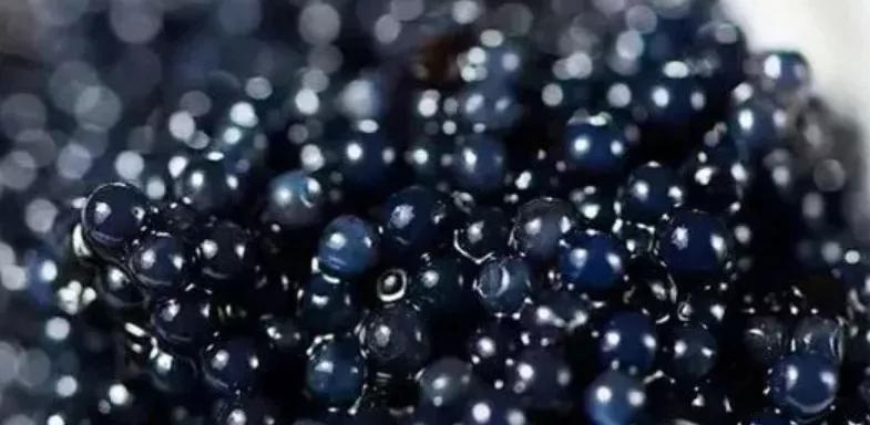 毛戈平哪款粉底最好用,毛戈平粉膏和毛戈平粉底的区别