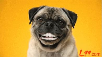 杨超越机智回答,杨超越一开口