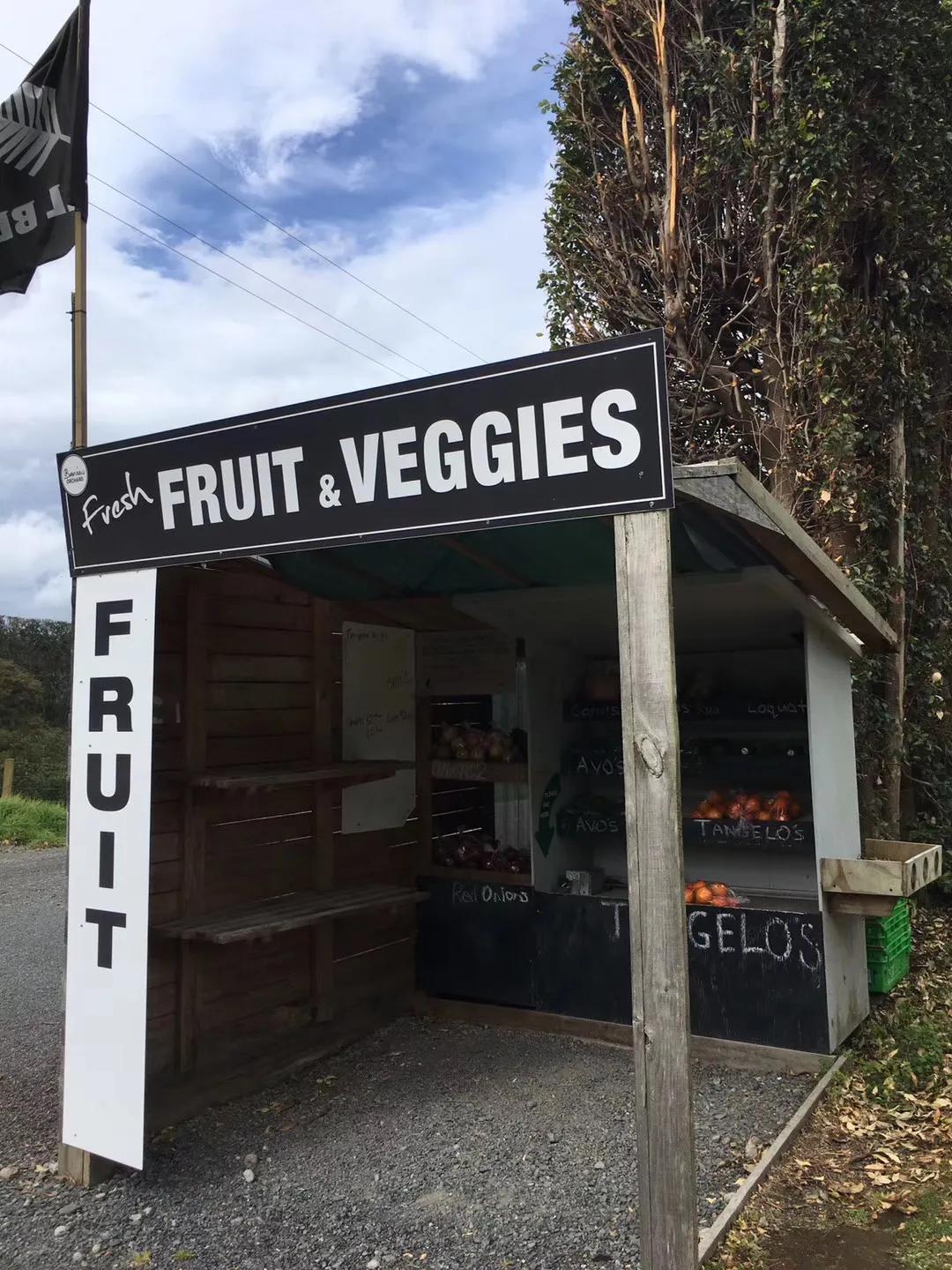 记忆中的旅行之新西兰（北岛）