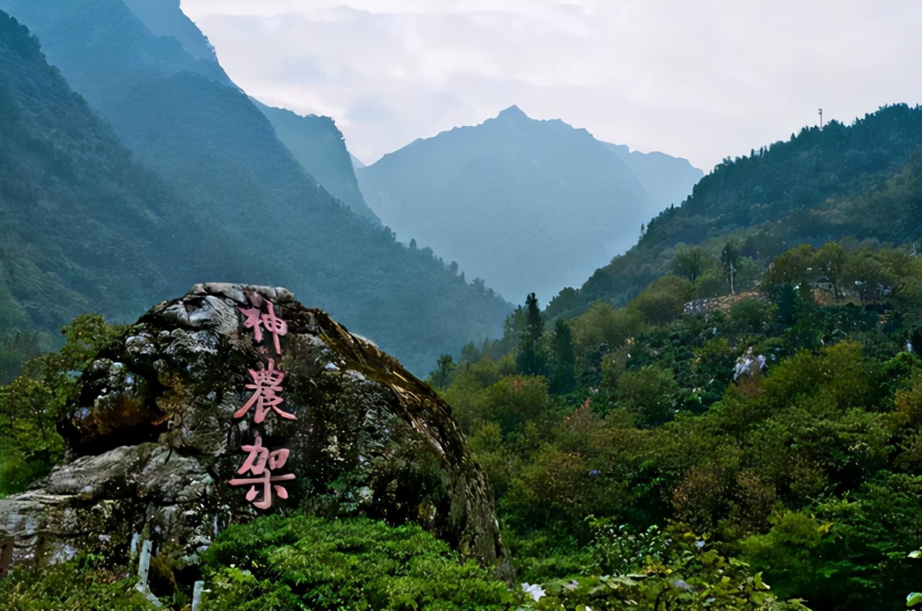 神农架十大未解之谜野人之谜,神农架究竟有没有野人