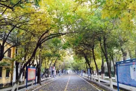 *疆新**大学！真美