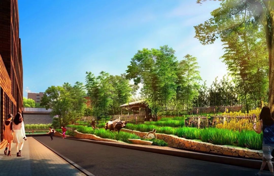 重庆教育最好的板块,重庆教育资源最好的区域北区