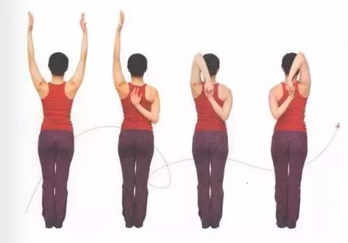 怎么瘦熊腰虎背,虎背熊腰怎么瘦最快