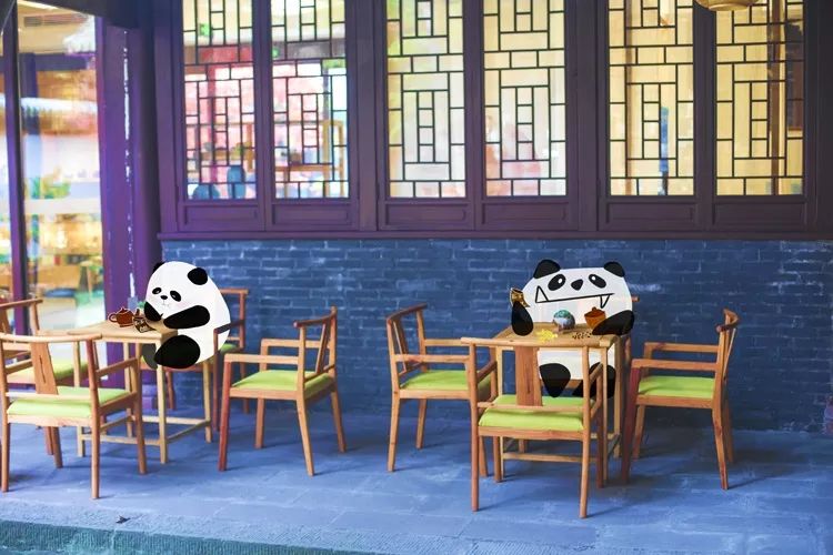 这只成都神兽包揽了多个全国第一，竟然还要被催婚？