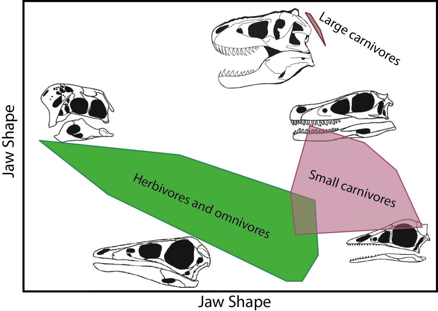 就算都吃肉，恐龙也分“三六九等”