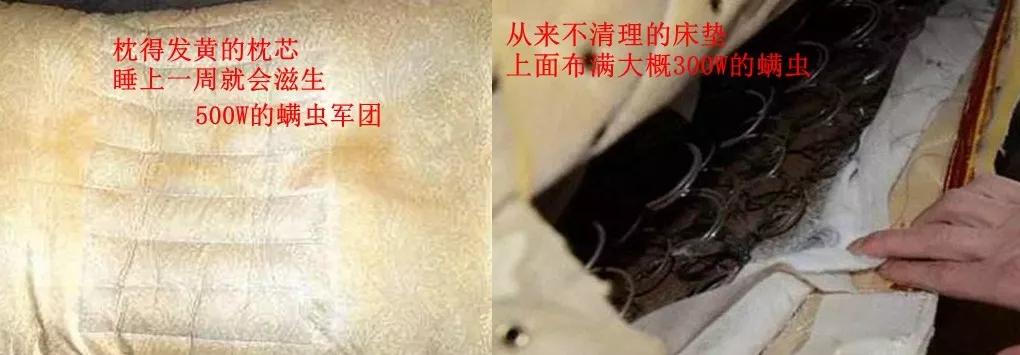 去被子上的螨虫的最佳方法,被子睡久了怎么除臭