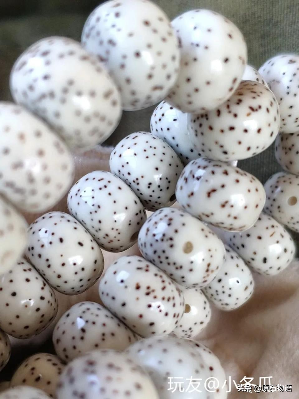 星月菩提一般几个籽,星月菩提只要是真的就可以玩