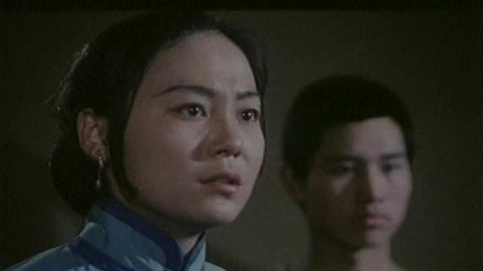 一部几十年火遍全国的功夫电影,美国的中国功夫电影