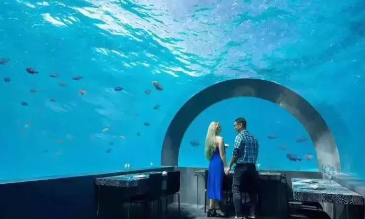 世界顶级马尔代夫餐厅,马尔代夫法式水上餐厅