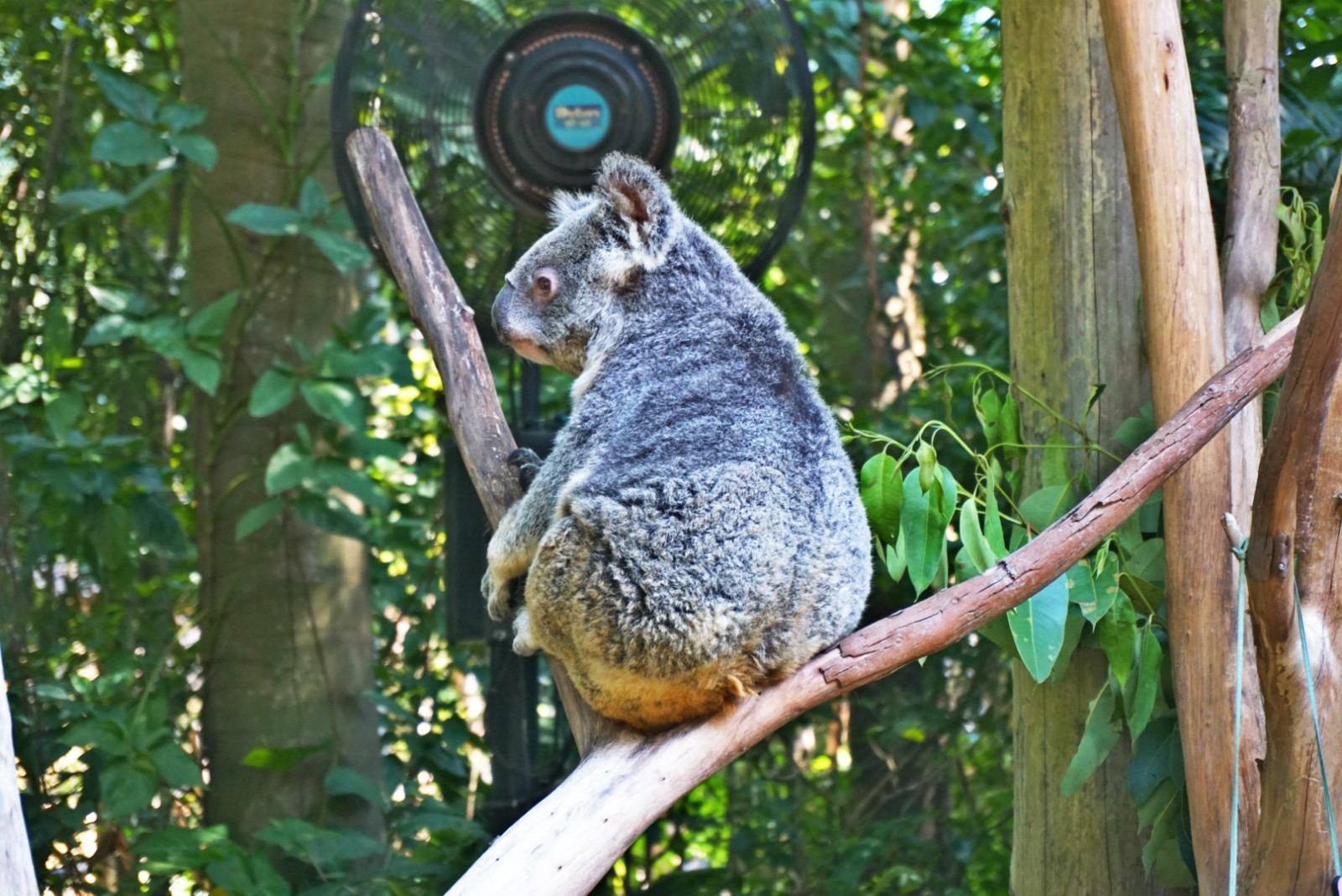 常州恐龙园和珠海长隆哪个好玩,珠海长隆海洋王国好玩吗
