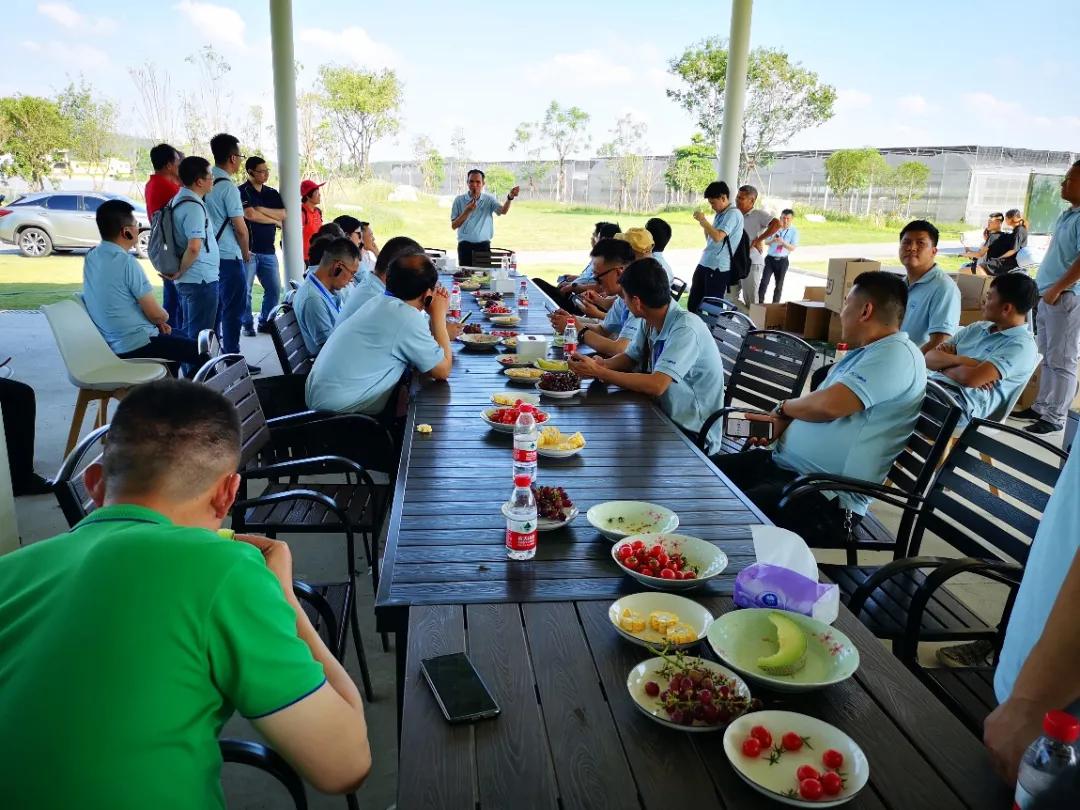 夏天花园蚊子多怎么办,怎么解决花园蚊子多的问题