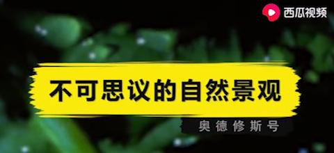 6个不可思议的超自然现象,6个不可思议的古老生物