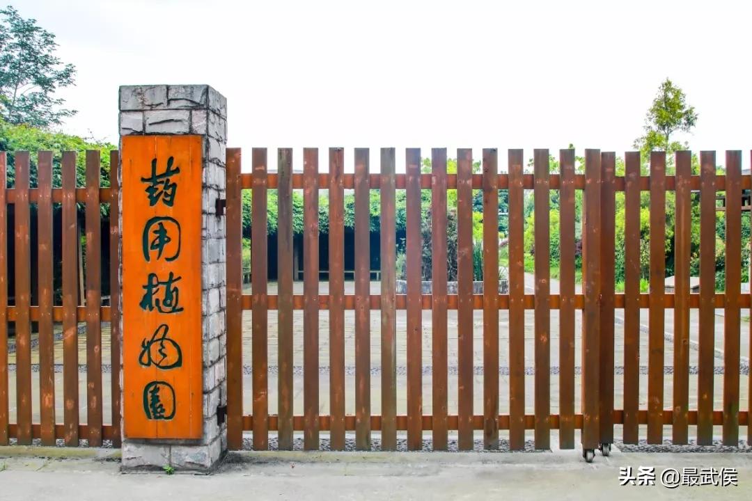 成都中医药大学,不能再低调了!