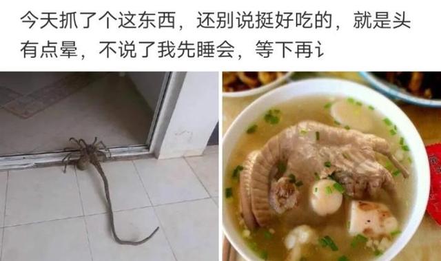 把车标全部抠掉违法吗,把车标抠下来清灰