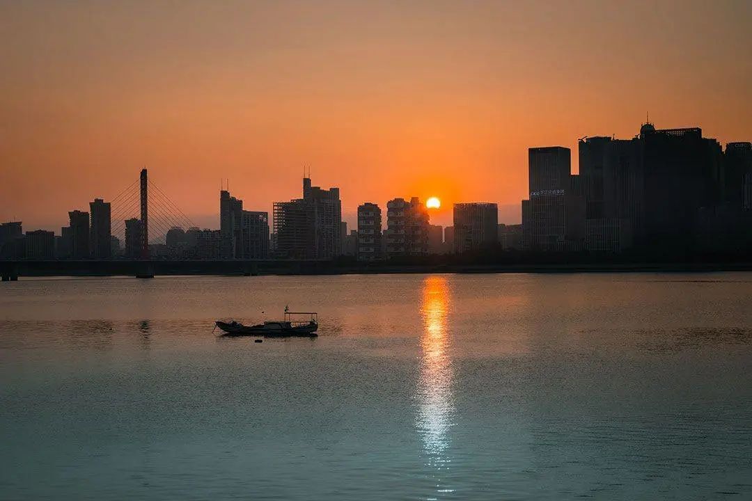 国家地理标志产品仙居杨梅,杨梅地理