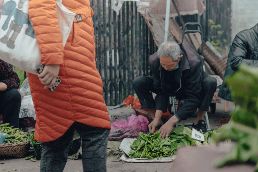 沙河边的野生菜市，是成都嬢嬢的狂欢现场