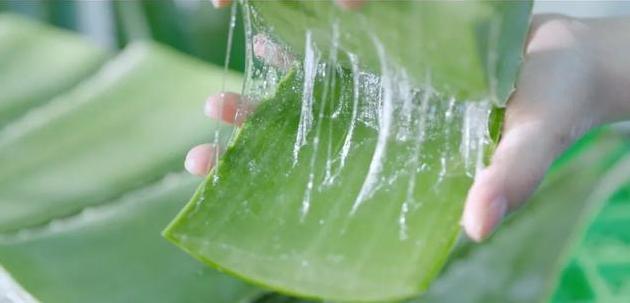 俗称万能胶的完美芦荟胶,测评一摸就磨皮的芦荟胶
