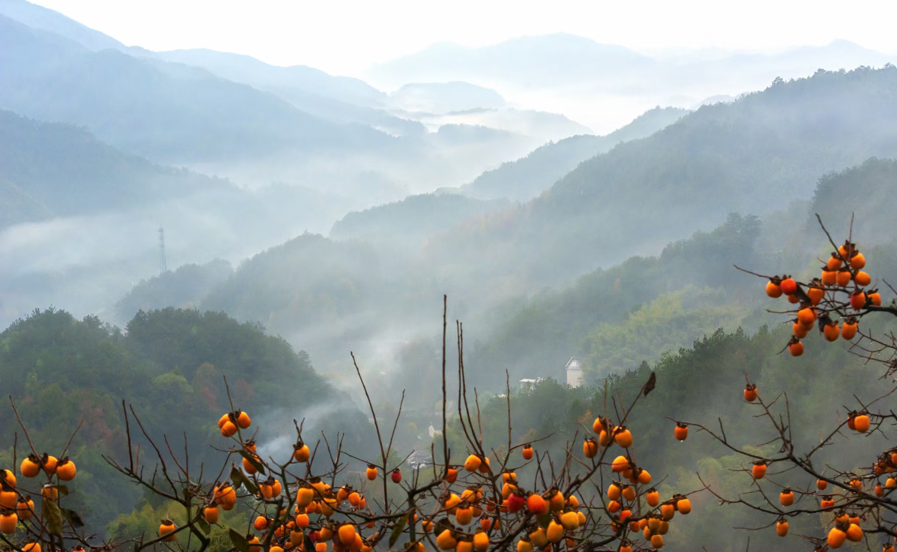 安徽黄山旅游攻略三天自驾游,安徽黄山旅游攻略路线推荐
